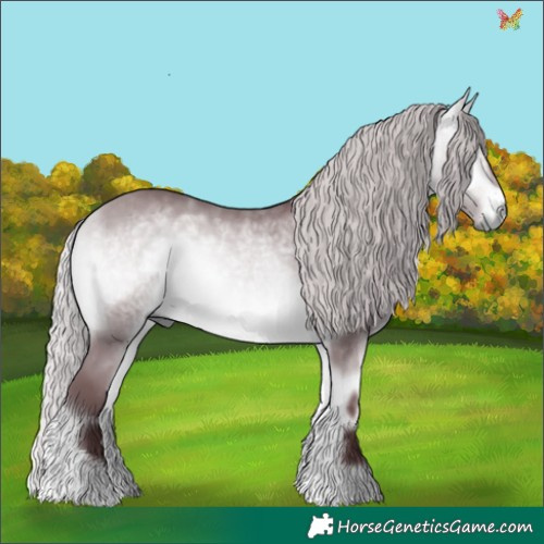 Horse Color:Chocolate Silver Bay Chinchilla Onyx 