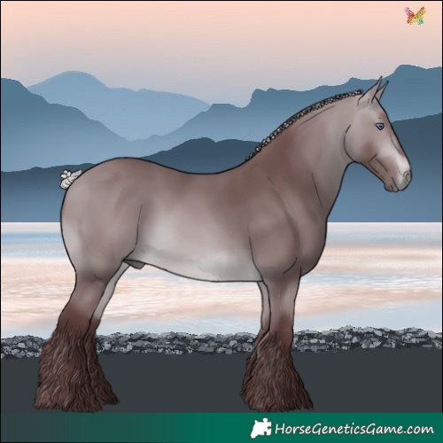 Horse Color:Chocolate Silver Bay Chinchilla 