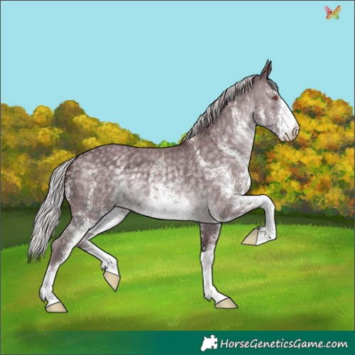 Horse Color:White Spotted Chocolate Silver Black Chinchilla