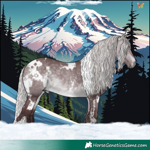 Horse Color:White Spotted Chocolate Silver Bay Chinchilla 