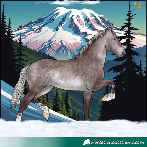 Horse Color:Chocolate Silver Brown Chinchilla 