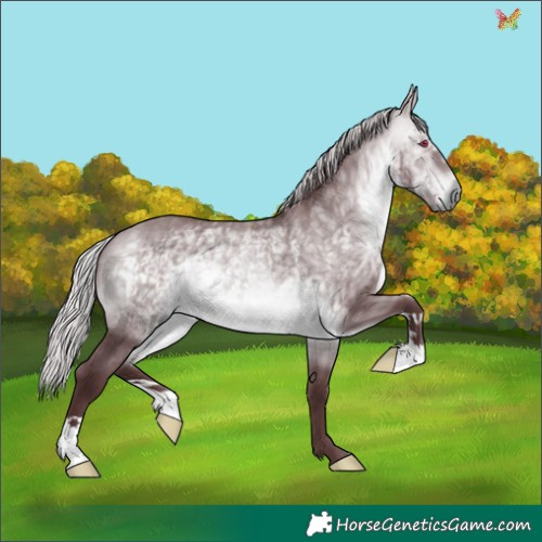 Horse Color:Chocolate Silver Brown Chinchilla 