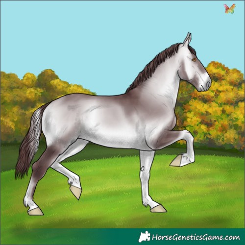 Horse Color:Chocolate Brown Chinchilla Onyx 