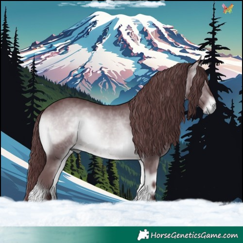 Horse Color:Chocolate Brown Chinchilla Onyx 