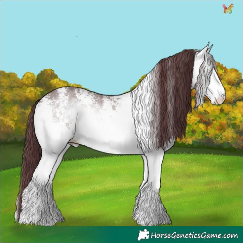 Horse Color:White Spotted Chocolate Brown Chinchilla Onyx 