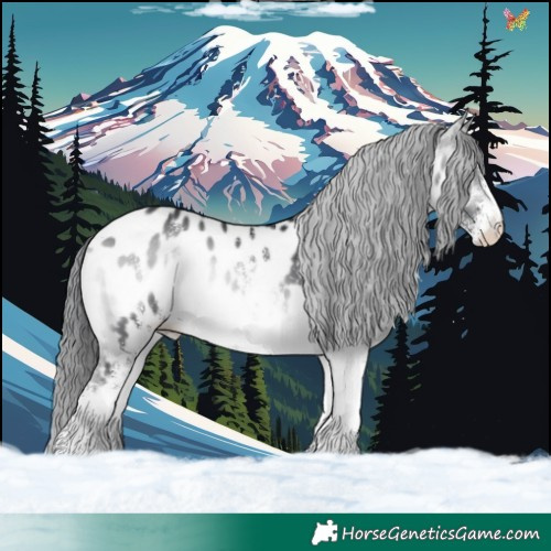 Horse Color:White Spotted Brown Chinchilla Onyx Appaloosa 