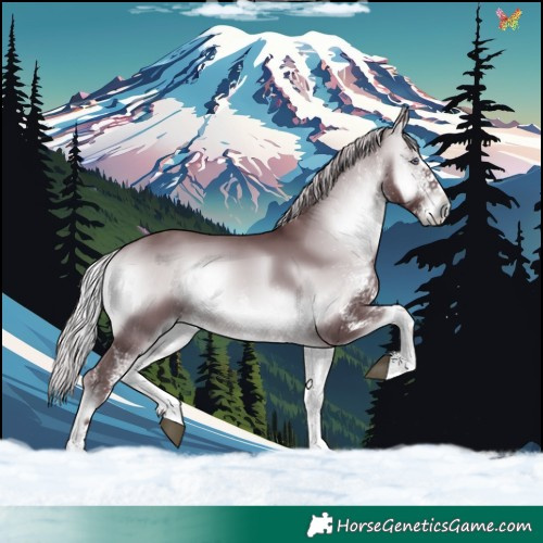 Horse Color:White Spotted Chocolate Silver Brown Chinchilla Onyx 