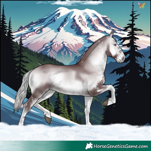 Horse Color:White Spotted Chocolate Silver Brown Chinchilla Onyx 