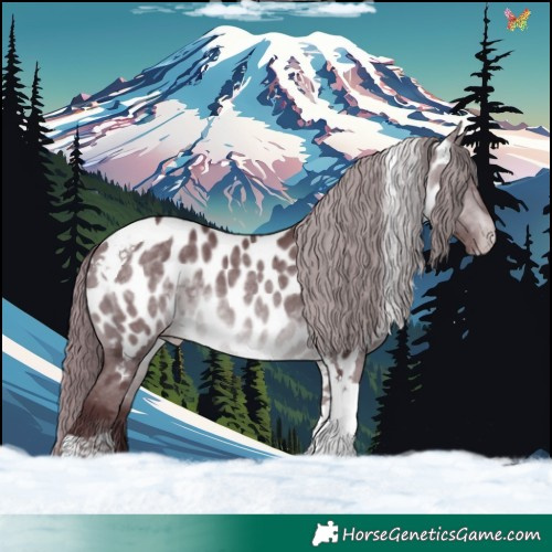 Horse Color:Chocolate Brown Chinchilla Tobiano Appaloosa 