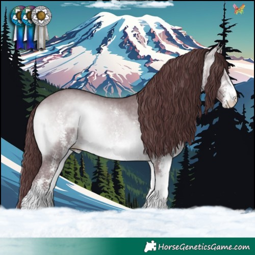 Horse Color:White Spotted Chocolate Bay Chinchilla Onyx 