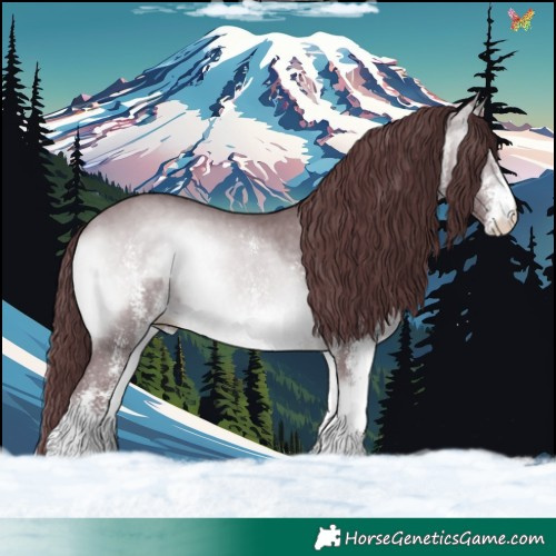 Horse Color:White Spotted Chocolate Bay Chinchilla Onyx 
