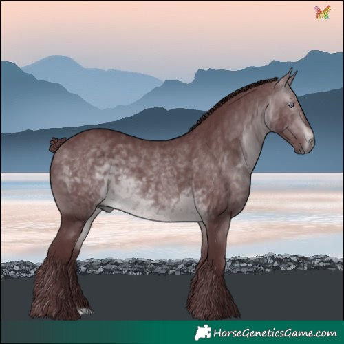 Horse Color:Chocolate Brown Chinchilla 