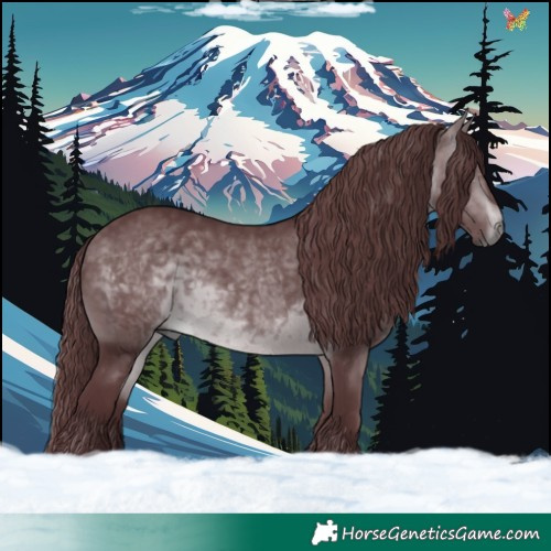 Horse Color:Chocolate Brown Chinchilla 