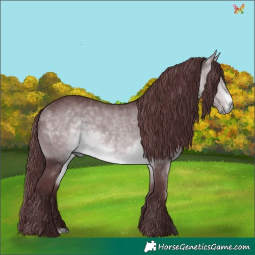 Horse Color:Chocolate Brown Chinchilla 