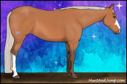 Horse Color:Silver Bay 