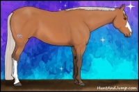 Horse Color:Silver Bay 