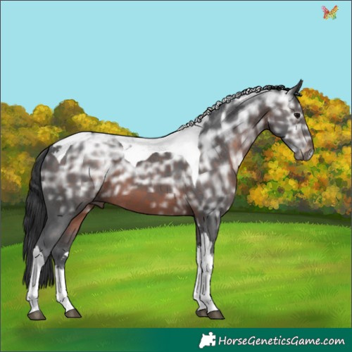 Horse Color:Brown Ice Tobiano 