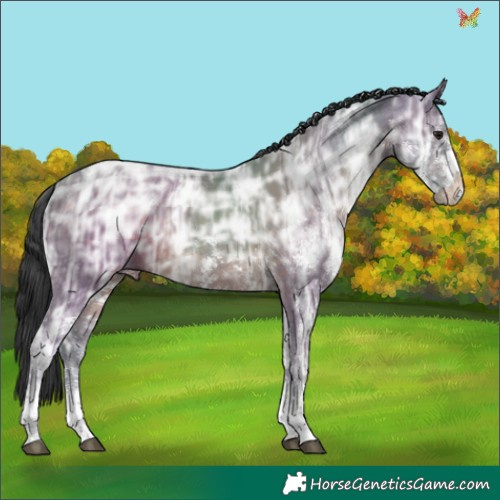 Horse Color:White Spotted Brown Ice 