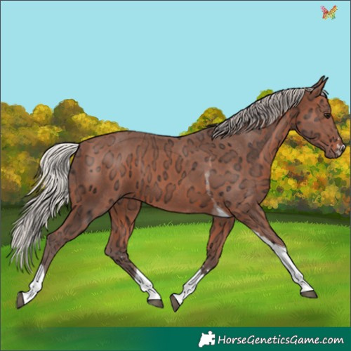 Horse Color:Silver Bay Ice Tobiano 