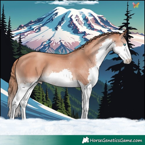Horse Color:Gold Champagne Splash 