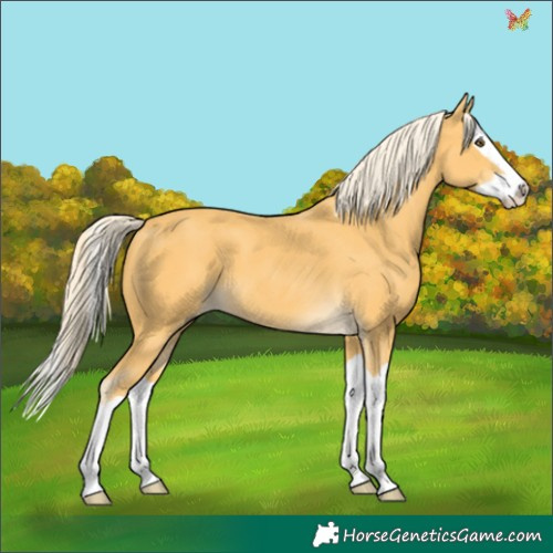 Horse Color:Palomino Mushroom Splash 