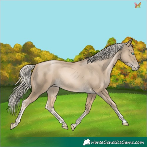 Horse Color:Chocolate Palomino Pearl Mushroom