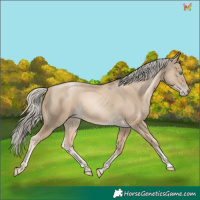 Horse Color:Chocolate Palomino Pearl Mushroom 