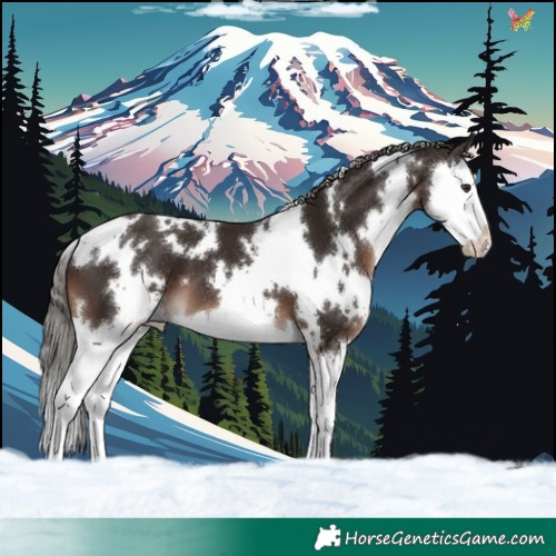 Horse Color:White Spotted Liver Chestnut Mushroom Splash 