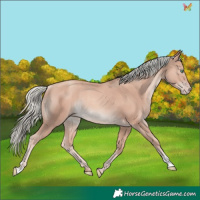 Horse Color:Gold Champagne Mushroom Rabicano 
