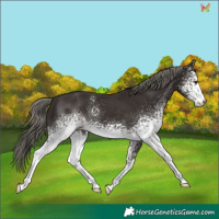 Horse Color:White Spotted Liver Chestnut Mushroom