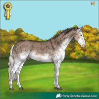 Horse Color:White Spotted Liver Red Dun Mushroom Brindle 