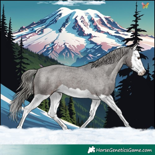 Horse Color:Liver Chestnut Mushroom Splash Varnish 