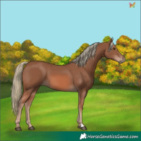 Horse Color:Chestnut Mushroom 