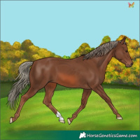 Horse Color:Chestnut Mushroom 