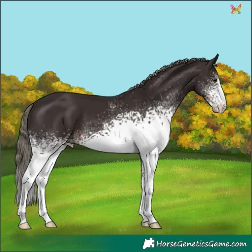 Horse Color:White Spotted Liver Chestnut Mushroom 