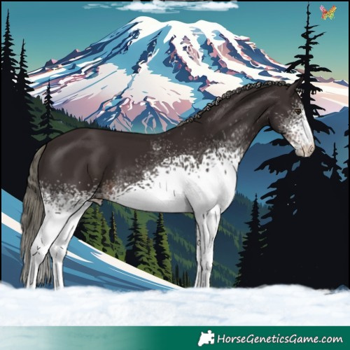 Horse Color:White Spotted Liver Chestnut Mushroom 