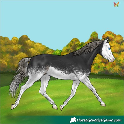 Horse Color:White Spotted Liver Chestnut Mushroom Splash 