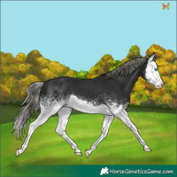Horse Color:White Spotted Liver Chestnut Mushroom Splash 