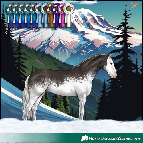 Horse Color:White Spotted Liver Chestnut Mushroom Splash 