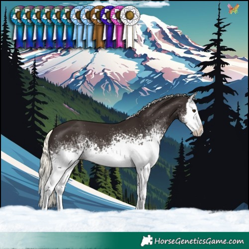 Horse Color:White Spotted Liver Chestnut Mushroom Splash 
