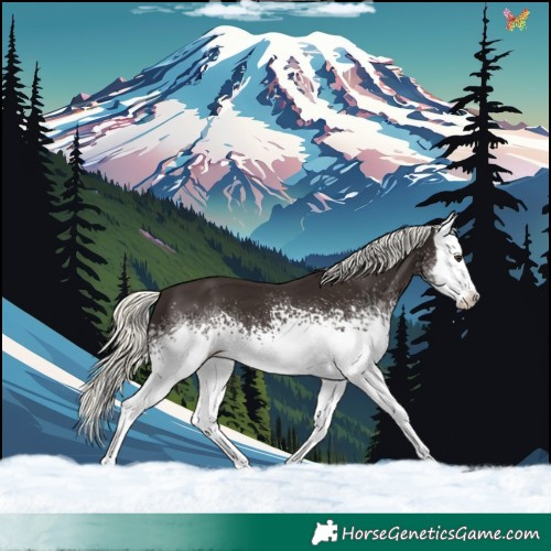 Horse Color:White Spotted Liver Chestnut Mushroom Splash 