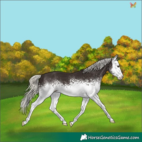 Horse Color:White Spotted Liver Chestnut Mushroom Splash 