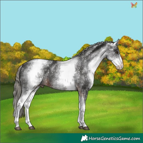 Horse Color:White Spotted Liver Chestnut Mushroom 