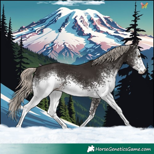 Horse Color:White Spotted Liver Chestnut Mushroom 