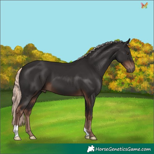 Horse Color:Liver Chestnut Mushroom 