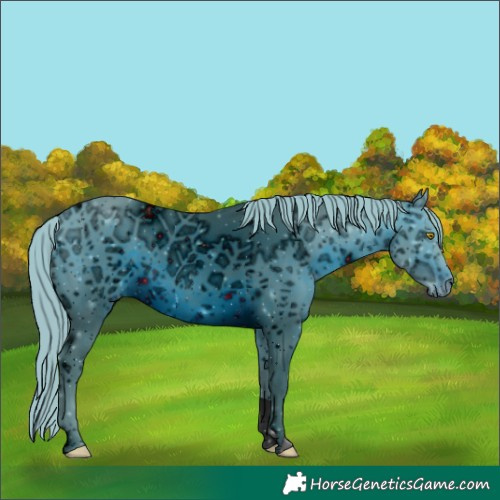 Horse Color:ERROR: UNKNOWN ANOMALY