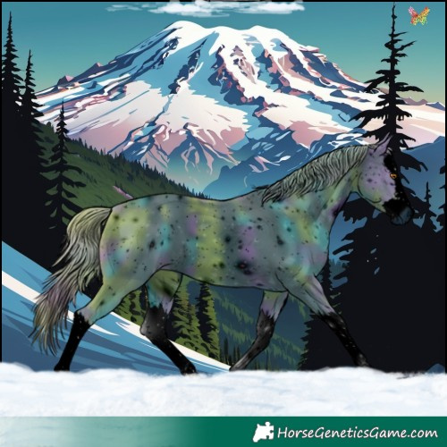 Horse Color:ERROR: UNKNOWN ANOMALY