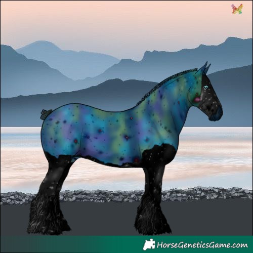 Horse Color:ERROR: UNKNOWN ANOMALY