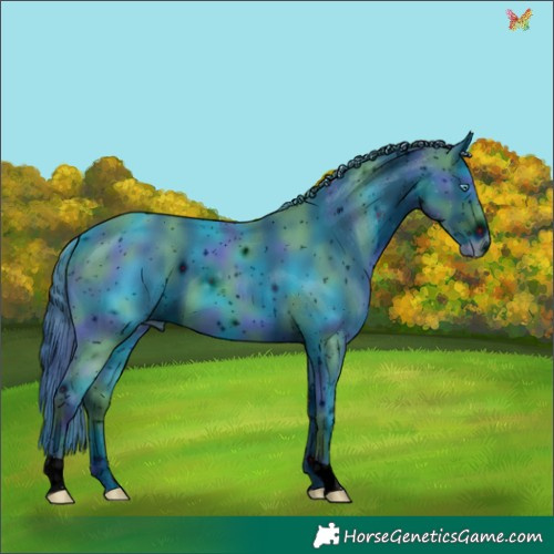 Horse Color:ERROR: UNKNOWN ANOMALY
