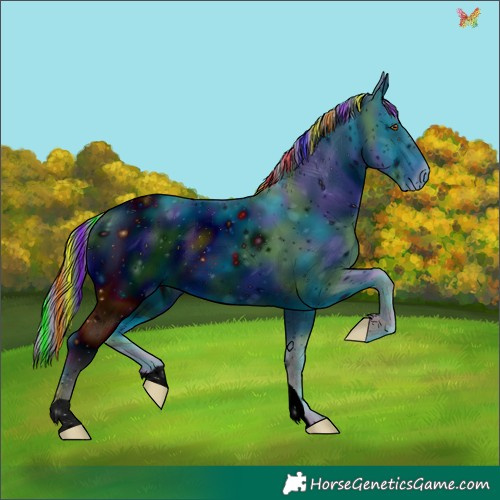 Horse Color:ERROR: UNKNOWN ANOMALY